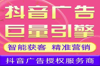竞价端口开户后的广告投放策略案例